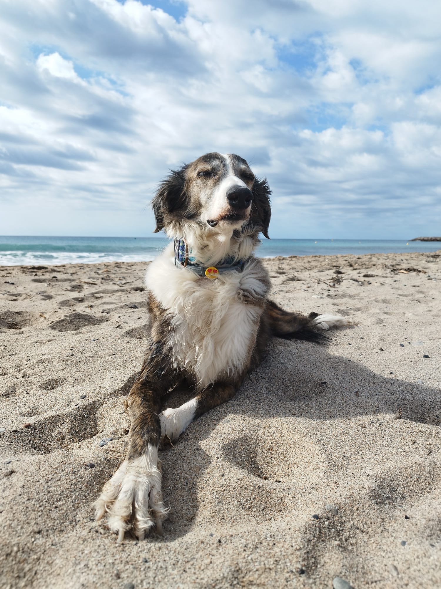Ron descansando en la playa